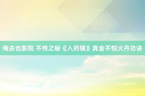 俺去也影院 不传之秘《入药镜》真金不怕火丹功诀