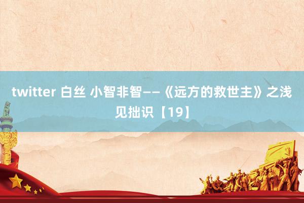 twitter 白丝 小智非智——《远方的救世主》之浅见拙识【19】