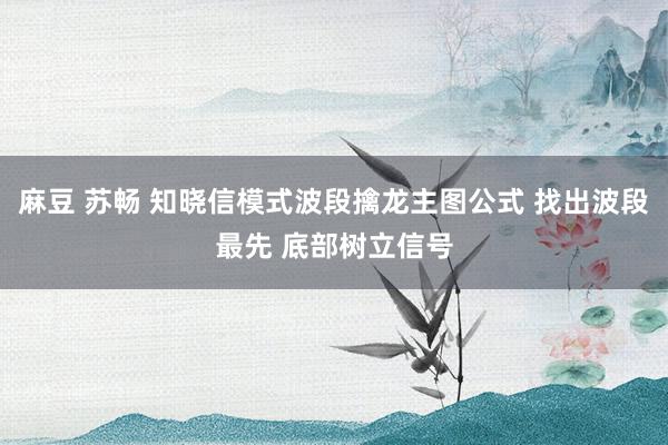 麻豆 苏畅 知晓信模式波段擒龙主图公式 找出波段最先 底部树立信号