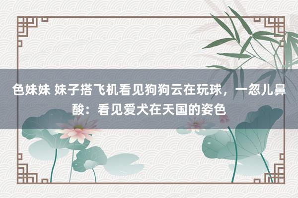 色妹妹 妹子搭飞机看见狗狗云在玩球，一忽儿鼻酸：看见爱犬在天国的姿色
