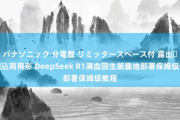 パナソニック 分電盤 リミッタースペース付 露出・半埋込両用形 DeepSeek R1满血回生版腹地部署保姆级教程